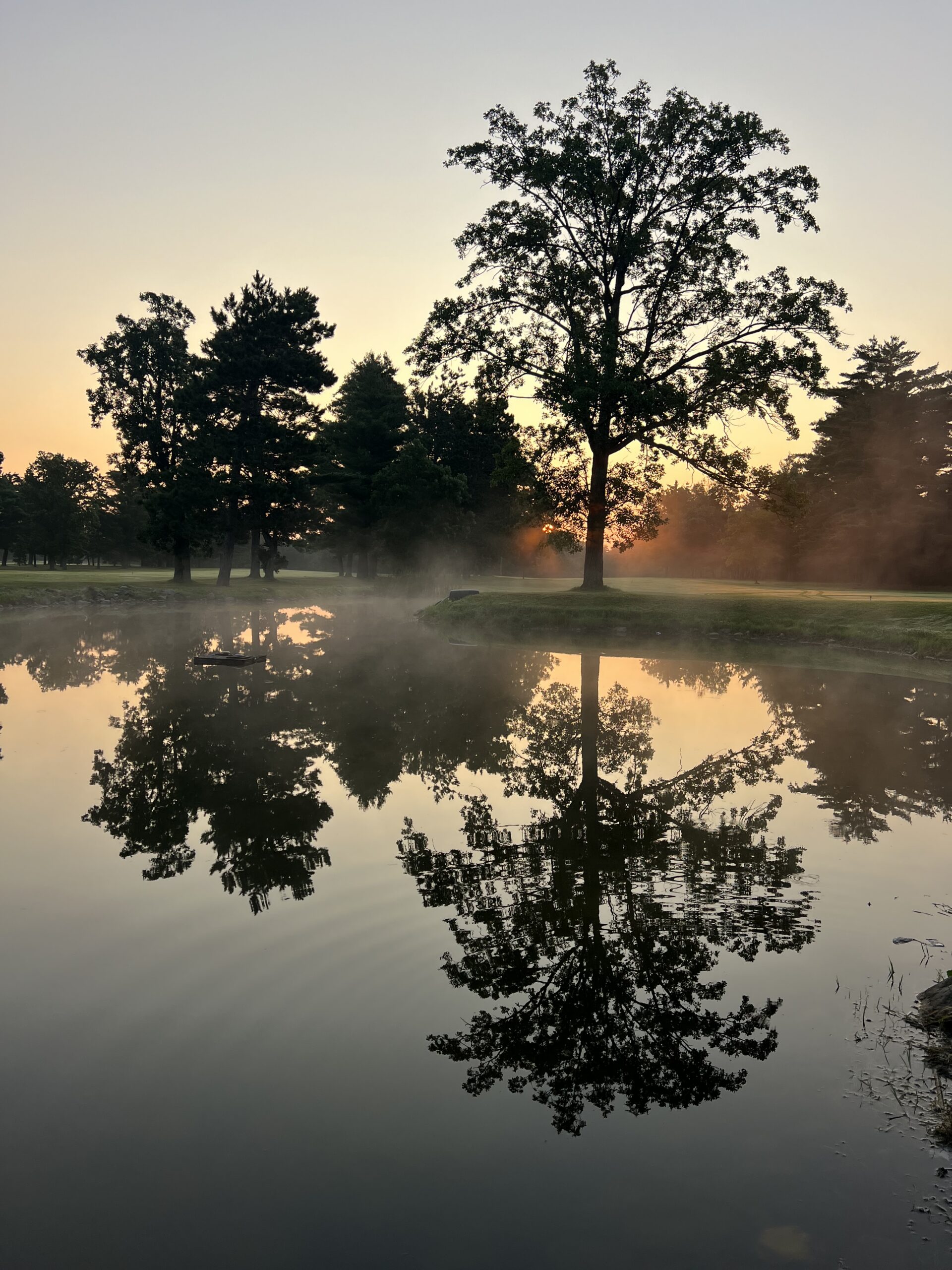 Sunrise over a pond with mist and silhouetted trees