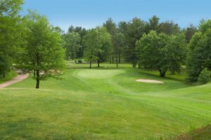 Putting green and sand trap surrounded by trees
