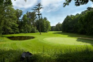 Putting green with a flagstick and small pond surrounded by trees