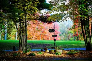 Vibrant autumn trees and a golf sign for hole 12