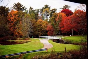 Pathway leading to a bridge surrounded by vibrant autumn trees