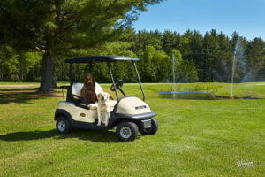 Two dogs sitting in a golf cart parked next to a pond