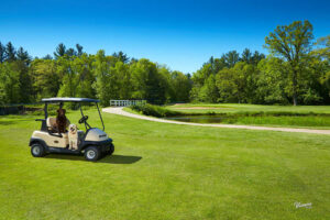 Two dogs sitting in a golf cart parked next to a pond